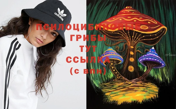 мдпв Балахна