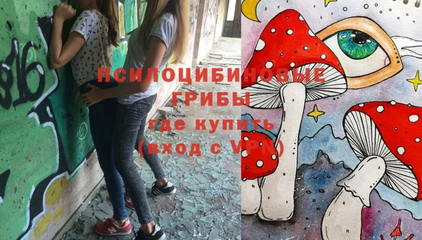 Альфа ПВП Баксан