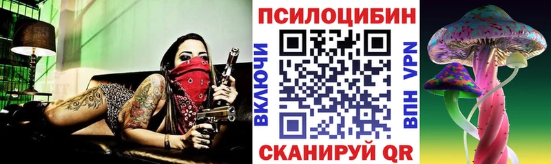 Купить закладки  Остров  Псилоцибиновые грибы GOLDEN TEACHER 